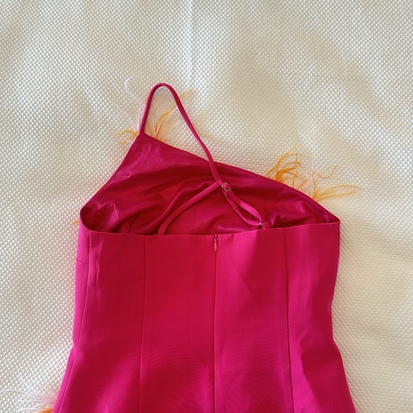 Feather Embellished Mini Dress - Picture 4 of 5